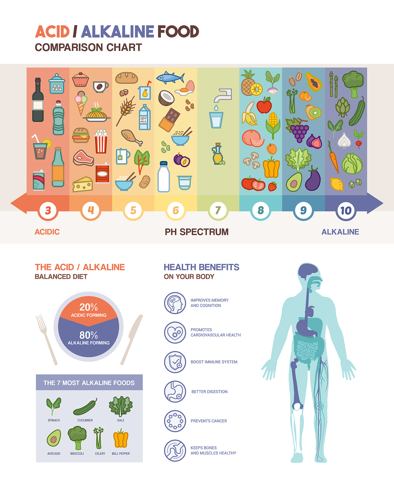 You are currently viewing What Are The Top Health Benefits Of Alkaline IV Therapy?