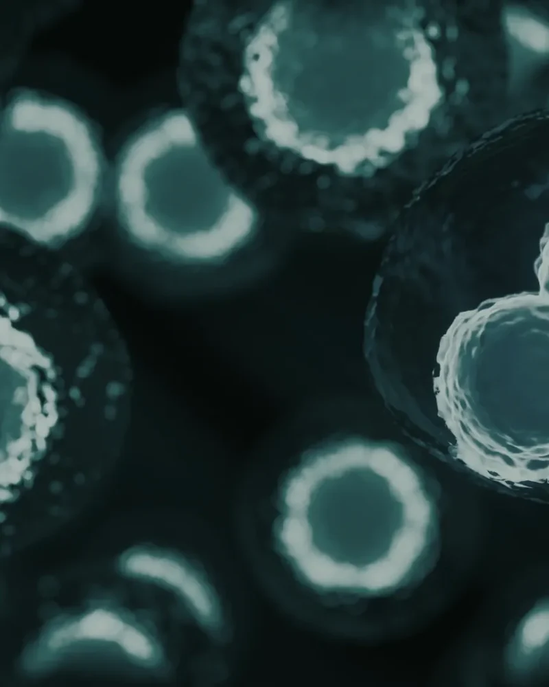Microscopic view of stem cells glowing in blue against a dark background
